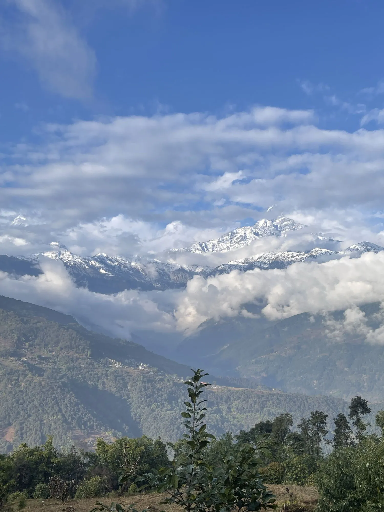 Snow peaks of the Annapurna range rising through a bank of cloud above forested ridges.
