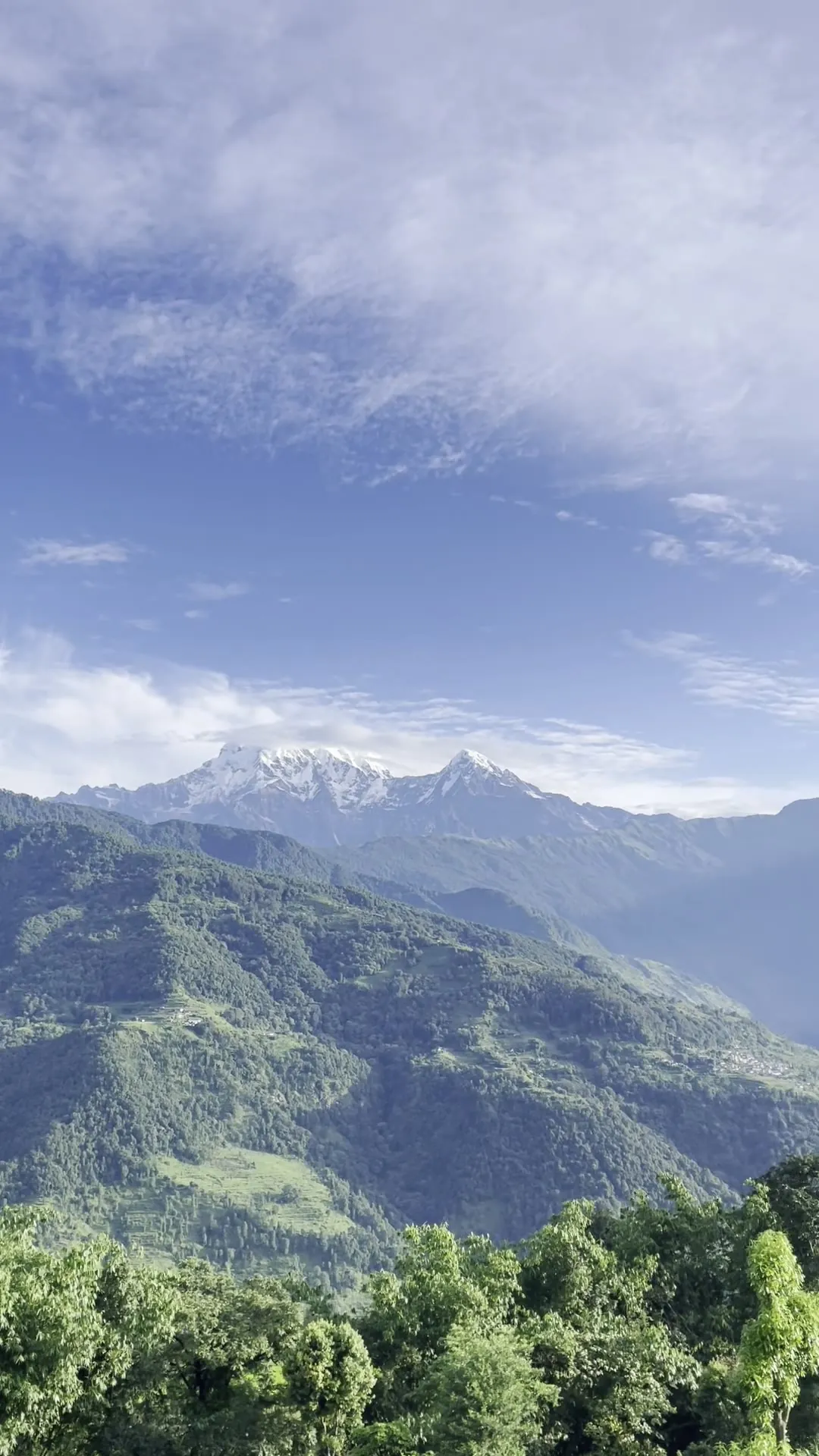 Machhapuchhre and the Annapurna ridge on a clear morning, seen across wooded hills.