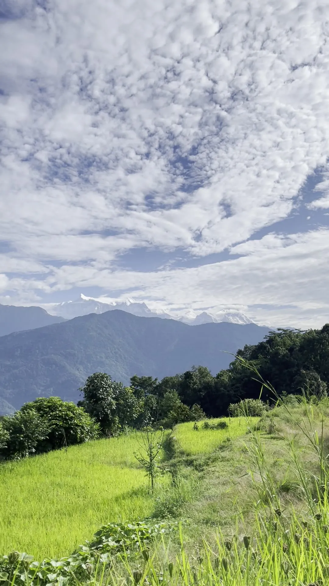 Green terraced fields below a mackerel sky, distant peaks along the horizon.